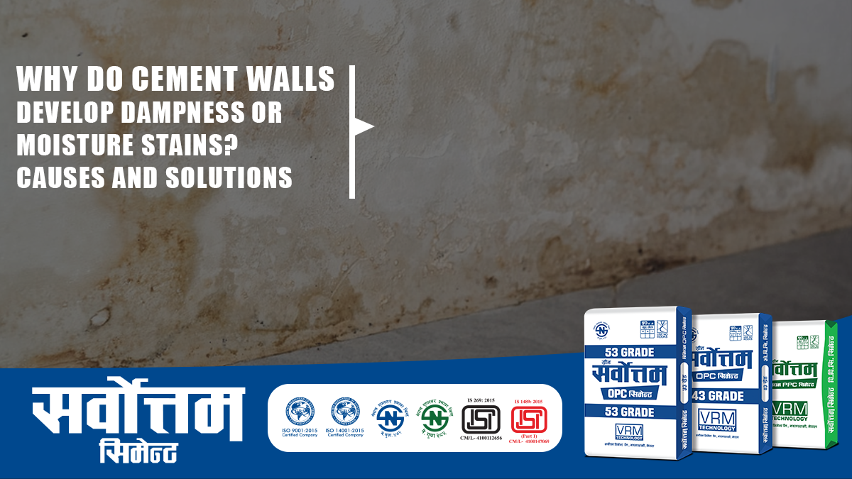 Why Do Cement Walls Develop Dampness or Moisture Stains? Causes & Solutions